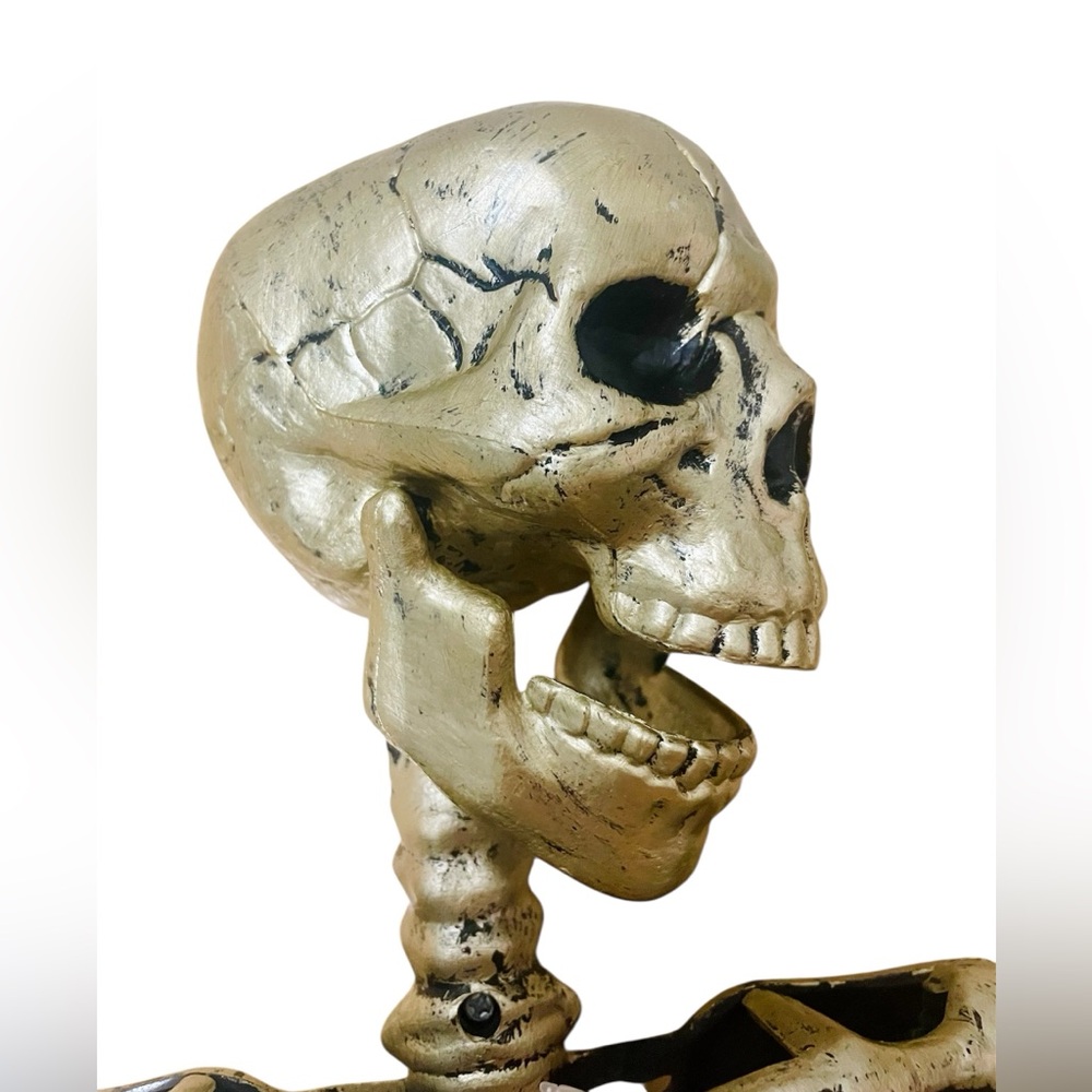 Hyde and EEK! 36" Posable Skeleton Halloween Decorative Prop - Picture 8 of 9